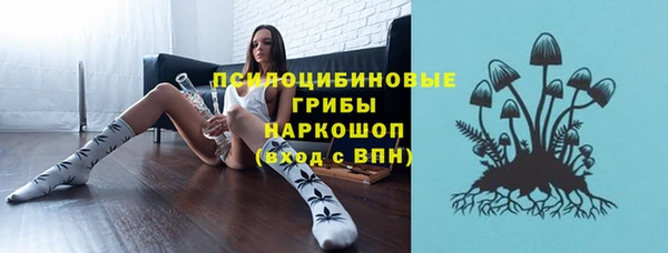 винт Белокуриха