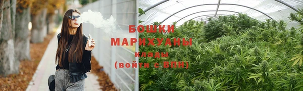 винт Белокуриха