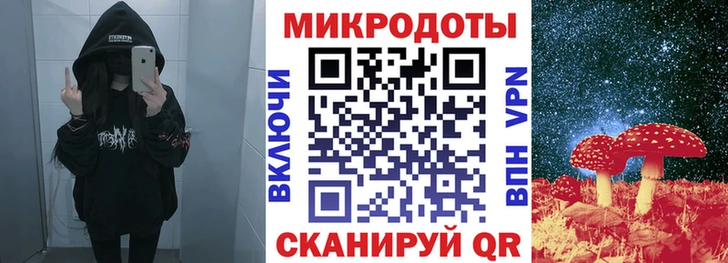 Купить закладки Высоцк Псилоцибиновые грибы GOLDEN TEACHER